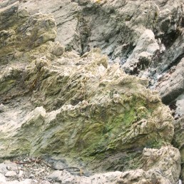 15 Jan 2010 pm 012 square crop