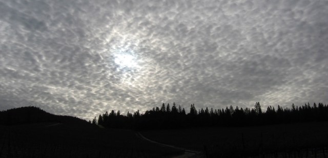 Dark Landscape treated, crop bis